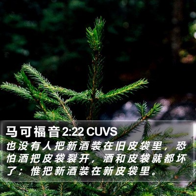 马 可 福 音 2:22 CUVS Bible Verse Image