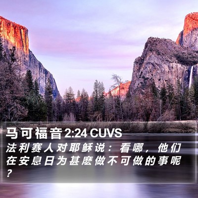 马 可 福 音 2:24 CUVS Bible Verse Image