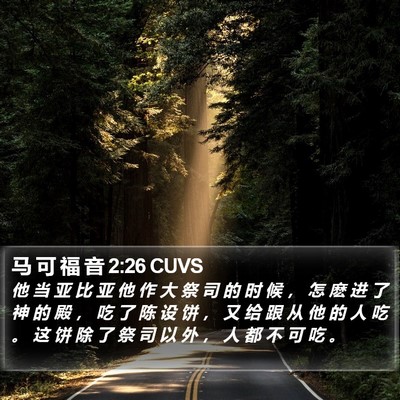 马 可 福 音 2:26 CUVS Bible Verse Image
