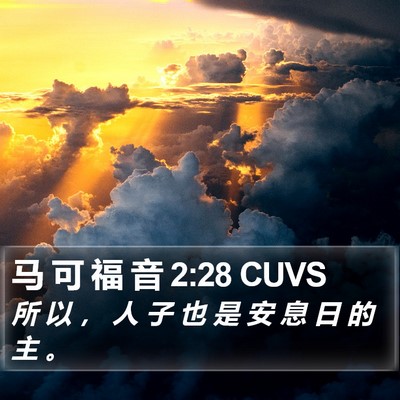 马 可 福 音 2:28 CUVS Bible Verse Image