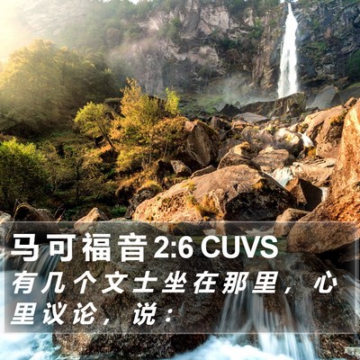 马 可 福 音 2:6 CUVS Bible Verse Image