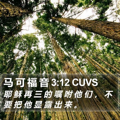 马 可 福 音 3:12 CUVS Bible Verse Image