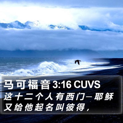 马 可 福 音 3:16 CUVS Bible Verse Image