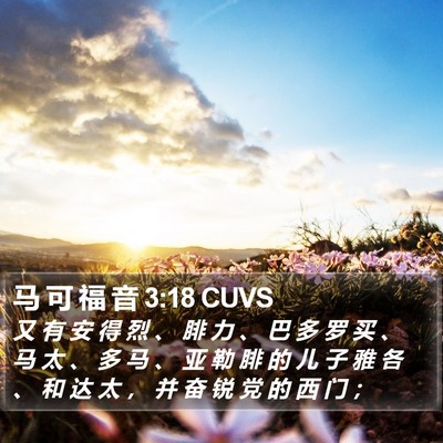 马 可 福 音 3:18 CUVS Bible Verse Image