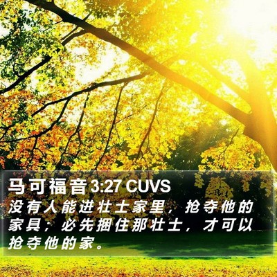 马 可 福 音 3:27 CUVS Bible Verse Image