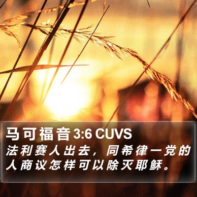 马 可 福 音 3:6 CUVS Bible Verse Image