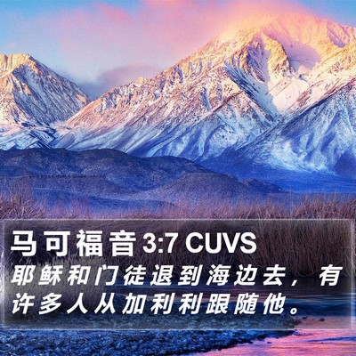 马 可 福 音 3:7 CUVS Bible Verse Image