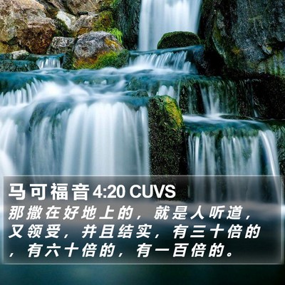 马 可 福 音 4:20 CUVS Bible Verse Image