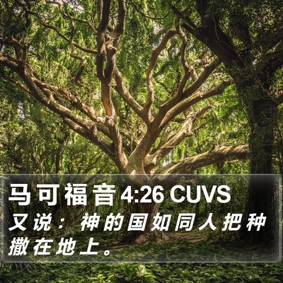 马 可 福 音 4:26 CUVS Bible Verse Image