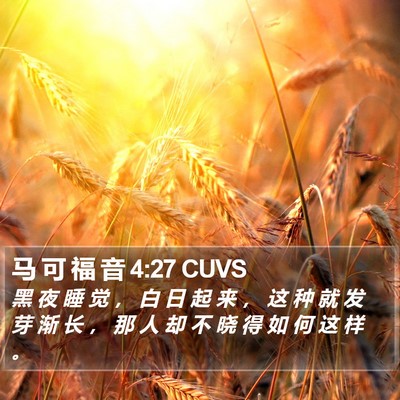 马 可 福 音 4:27 CUVS Bible Verse Image