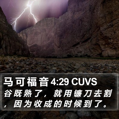 马 可 福 音 4:29 CUVS Bible Verse Image