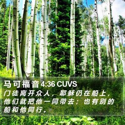 马 可 福 音 4:36 CUVS Bible Verse Image