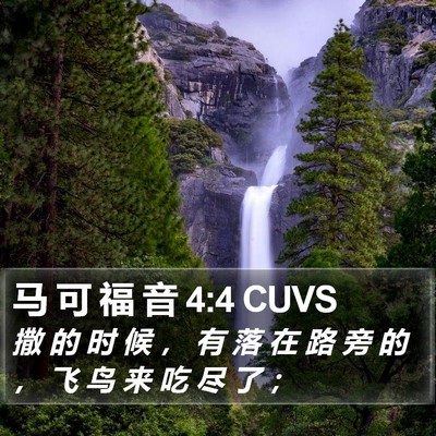 马 可 福 音 4:4 CUVS Bible Verse Image