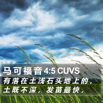 马 可 福 音 4:5 CUVS Bible Verse Image