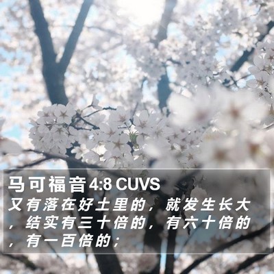 马 可 福 音 4:8 CUVS Bible Verse Image