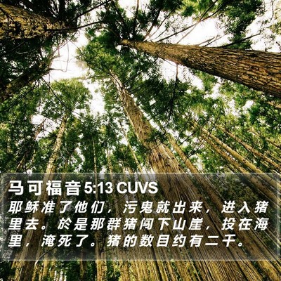 马 可 福 音 5:13 CUVS Bible Verse Image