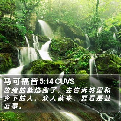马 可 福 音 5:14 CUVS Bible Verse Image
