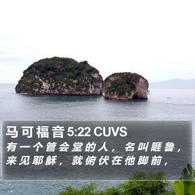 马 可 福 音 5:22 CUVS Bible Verse Image