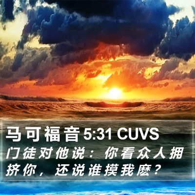 马 可 福 音 5:31 CUVS Bible Verse Image