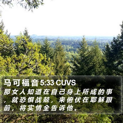 马 可 福 音 5:33 CUVS Bible Verse Image