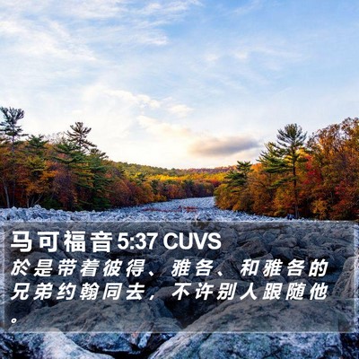 马 可 福 音 5:37 CUVS Bible Verse Image