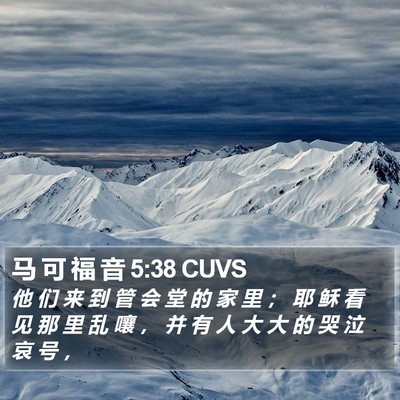 马 可 福 音 5:38 CUVS Bible Verse Image