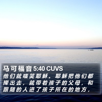 马 可 福 音 5:40 CUVS Bible Verse Image