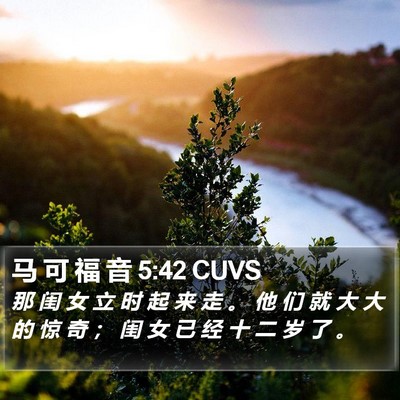 马 可 福 音 5:42 CUVS Bible Verse Image