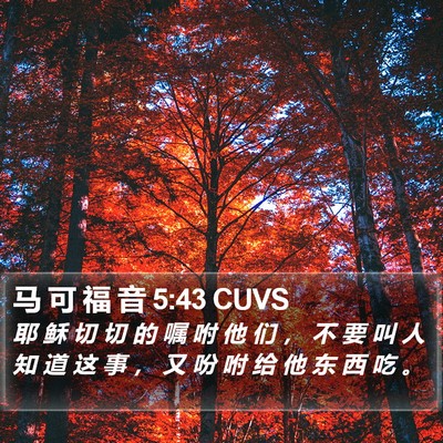 马 可 福 音 5:43 CUVS Bible Verse Image