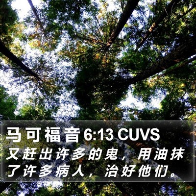 马 可 福 音 6:13 CUVS Bible Verse Image
