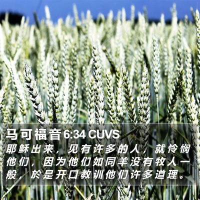 马 可 福 音 6:34 CUVS Bible Verse Image
