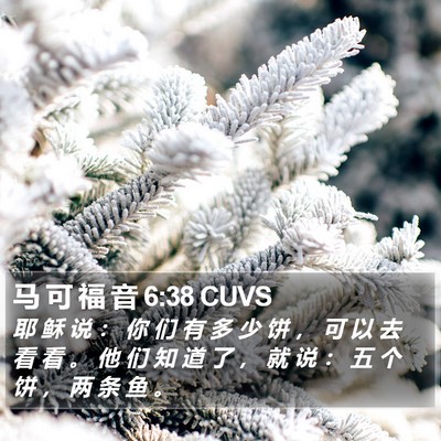 马 可 福 音 6:38 CUVS Bible Verse Image