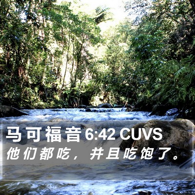 马 可 福 音 6:42 CUVS Bible Verse Image