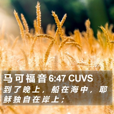 马 可 福 音 6:47 CUVS Bible Verse Image