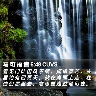 马 可 福 音 6:48 CUVS Bible Verse Image