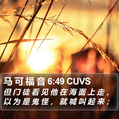 马 可 福 音 6:49 CUVS Bible Verse Image