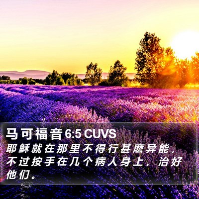马 可 福 音 6:5 CUVS Bible Verse Image