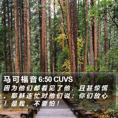马 可 福 音 6:50 CUVS Bible Verse Image