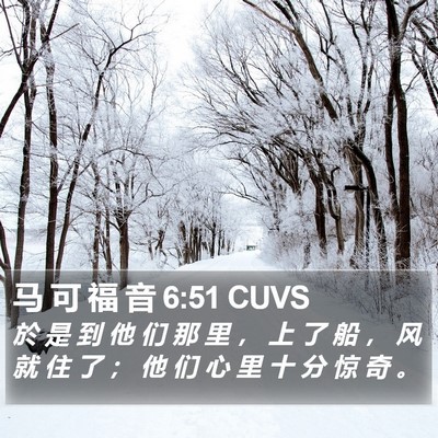 马 可 福 音 6:51 CUVS Bible Verse Image