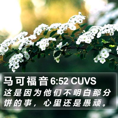 马 可 福 音 6:52 CUVS Bible Verse Image