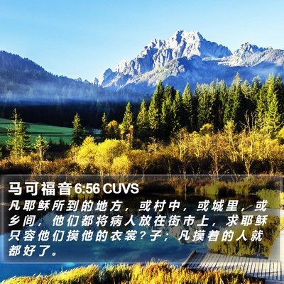 马 可 福 音 6:56 CUVS Bible Verse Image