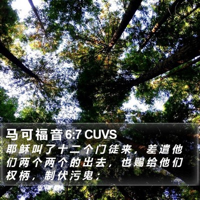 马 可 福 音 6:7 CUVS Bible Verse Image