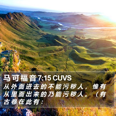 马 可 福 音 7:15 CUVS Bible Verse Image