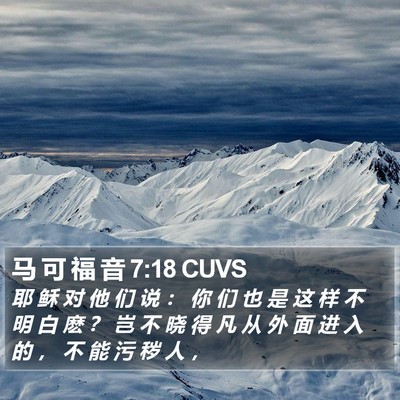 马 可 福 音 7:18 CUVS Bible Verse Image