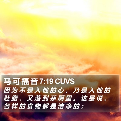 马 可 福 音 7:19 CUVS Bible Verse Image