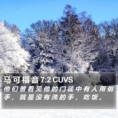 马 可 福 音 7:2 CUVS Bible Verse Image