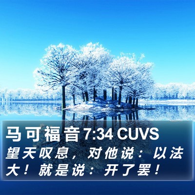 马 可 福 音 7:34 CUVS Bible Verse Image