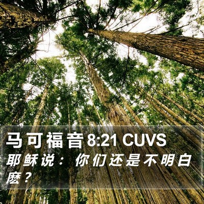 马 可 福 音 8:21 CUVS Bible Verse Image