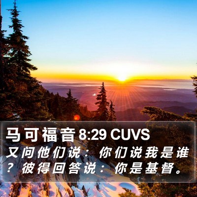 马 可 福 音 8:29 CUVS Bible Verse Image