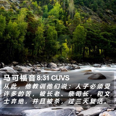 马 可 福 音 8:31 CUVS Bible Verse Image